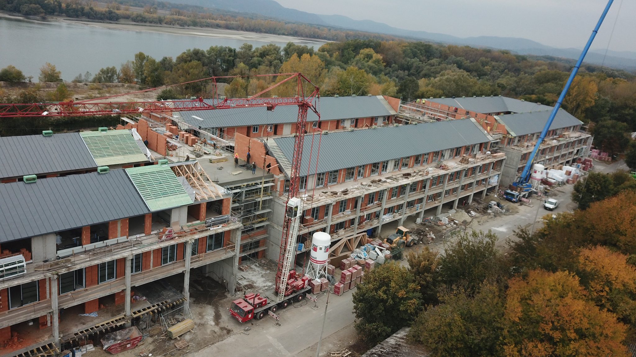 Verde Vita korcolt fedés